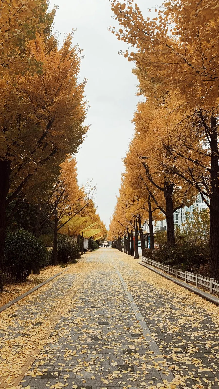Olympic Park in autumn